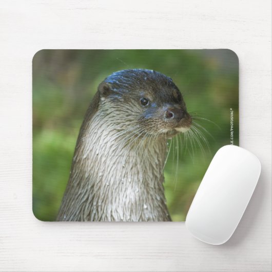 Otter Muismat (Met muis)
