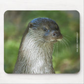Otter Muismat (Voorkant)