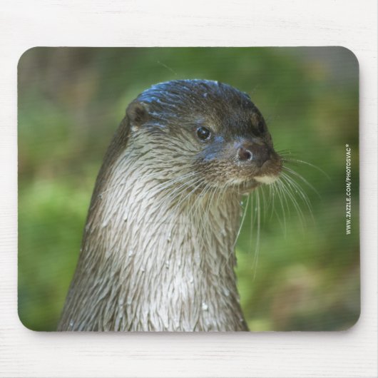 otter muismat (Voorkant)