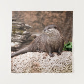 otter op de rots wandkleed (Voorkant)