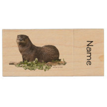 Otter op een Jump Drive