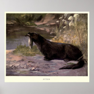  Otter Painting (1909) Poster