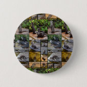 Otter Photo Collage Ronde Button 5,7 Cm (Voorkant)
