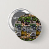 Otter Photo Collage Ronde Button 5,7 Cm (Voorkant /achterkant)