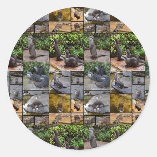 Otter Photo Collage Round Stickers. Ronde Sticker (Voorkant)