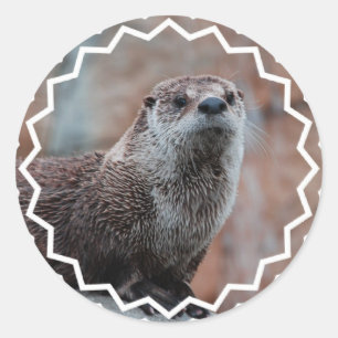 Otter Photo Stickers