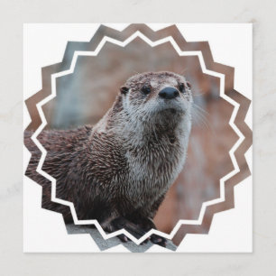 Otter Photo Uitnodiging