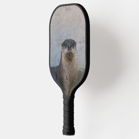 otter pickleball paddle (Links)