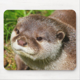 Otter Portret....... Muismat