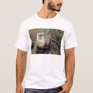 Otter Posing T-shirt