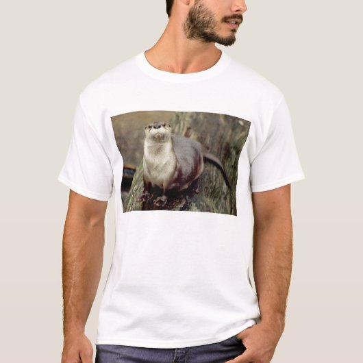 Otter Posing T-shirt (Voorkant)
