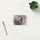 Otter Post-it® Notes (Kantoor)