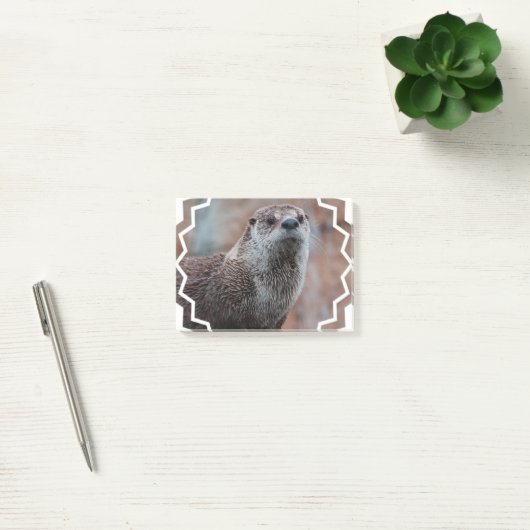 Otter Post-it® Notes (Kantoor)
