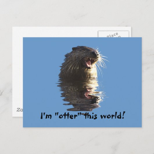 OTTER Post Kaart (Voorkant / Achterkant)