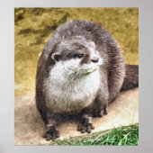 OTTER POSTER (Voorkant)