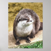 OTTER POSTER (Voorkant)