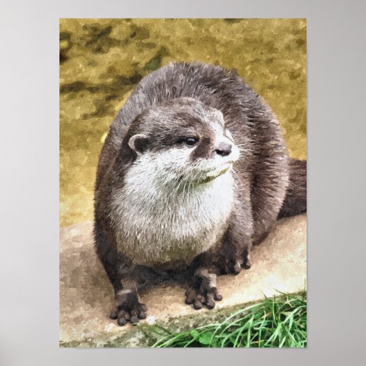 OTTER POSTER (Voorkant)