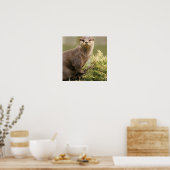Otter Poster (Keuken)