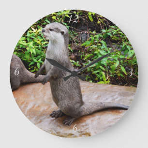 Otter praat over grote ronde wandklok. grote klok
