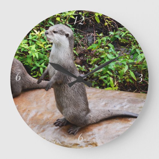 Otter praat over grote ronde wandklok. klok (Voorkant)
