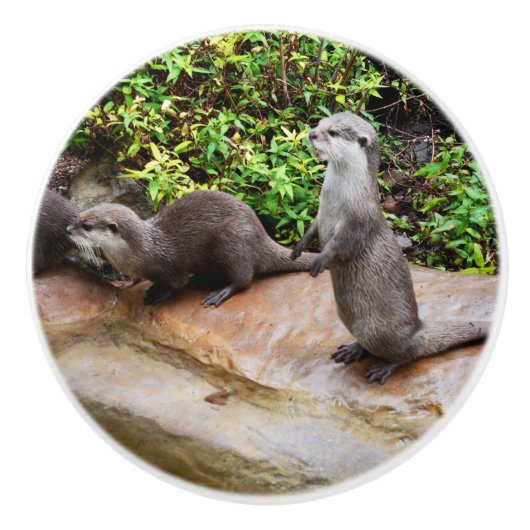Otter praat tegen me, keramische knop (Voorkant)
