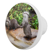 Otter praat tegen me, keramische knop (Rechts)