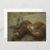 Otter Quartet – Speelse wildlife art print Briefkaart (Voorkant / Achterkant)