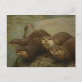 Otter Quartet – Speelse wildlife art print Briefkaart (Voorkant)