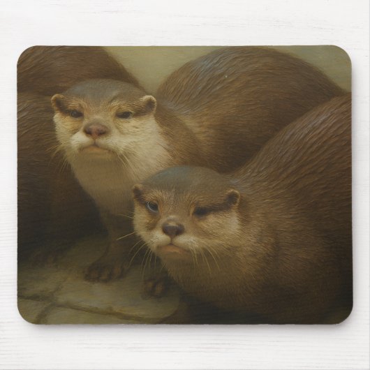 Otter Quartet – Speelse wildlife art print Muismat (Voorkant)