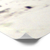 Otter Raft Poster (Hoek)