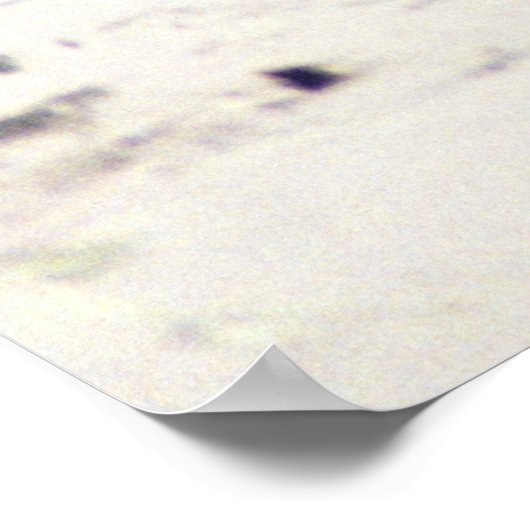 Otter Raft Poster (Hoek)