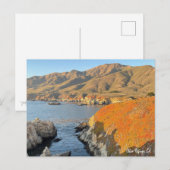 Otter Refuge, CA Briefkaart (Voorkant / Achterkant)