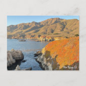 Otter Refuge, CA Briefkaart (Voorkant)