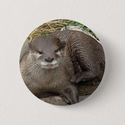 Otter Resting Button (Voorkant)