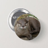Otter Resting Button (Voorkant /achterkant)