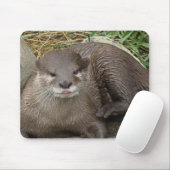 Otter Resting Muismat (Met muis)
