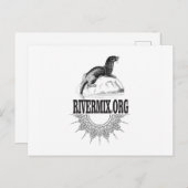 otter riviermix briefkaart (Voorkant / Achterkant)