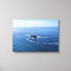 Otter Rock, Cape Foulweather, Newport, Oregon Canvas Afdruk