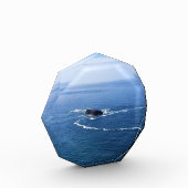 Otter Rock, Cape Foulweather, Newport, Oregon Fotoblokken (Links)