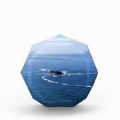 Otter Rock, Cape Foulweather, Newport, Oregon Fotoblokken (Voorkant)