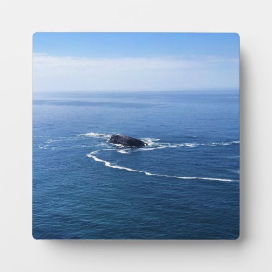 Otter Rock, Cape Foulweather, Newport, Oregon Fotoplaat (Voorkant)