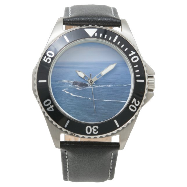 Otter Rock, Cape Foulweather, Newport, Oregon Horloge (Voorkant)