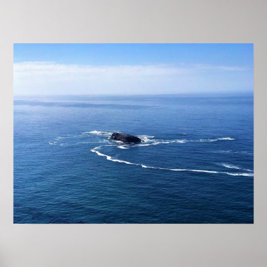 Otter Rock, Cape Foulweather, Newport, Oregon Poster (Voorkant)