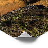 Otter Rock in Devil's Punchbowl State Park, Oregon Poster (Hoek)