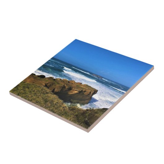 Otter Rock in Devil's Punchbowl State Park, Oregon Tegeltje (Zijkant)