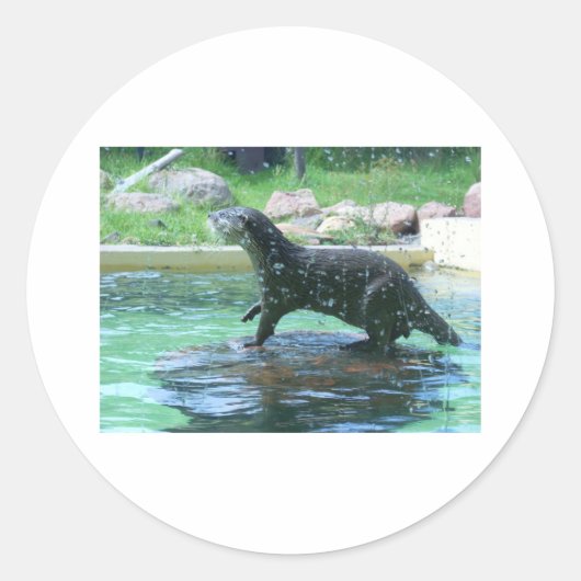 otter ronde sticker (Voorkant)