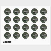 Otter Ronde Sticker (Vel)