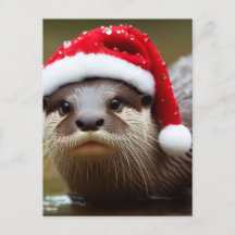 Otter Santa Hat Schattig