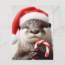Otter Santa Hoed Schattig Candy Cane
