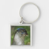 Otter Sleutelhanger (Voorkant)